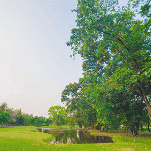 Panchayati Raj Image
