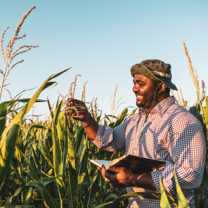 Agriculture Image