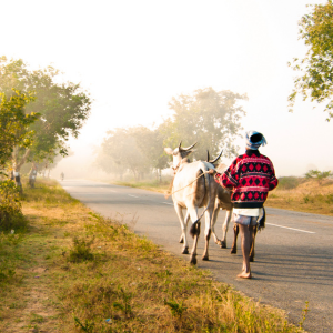 Panchayati Raj Image