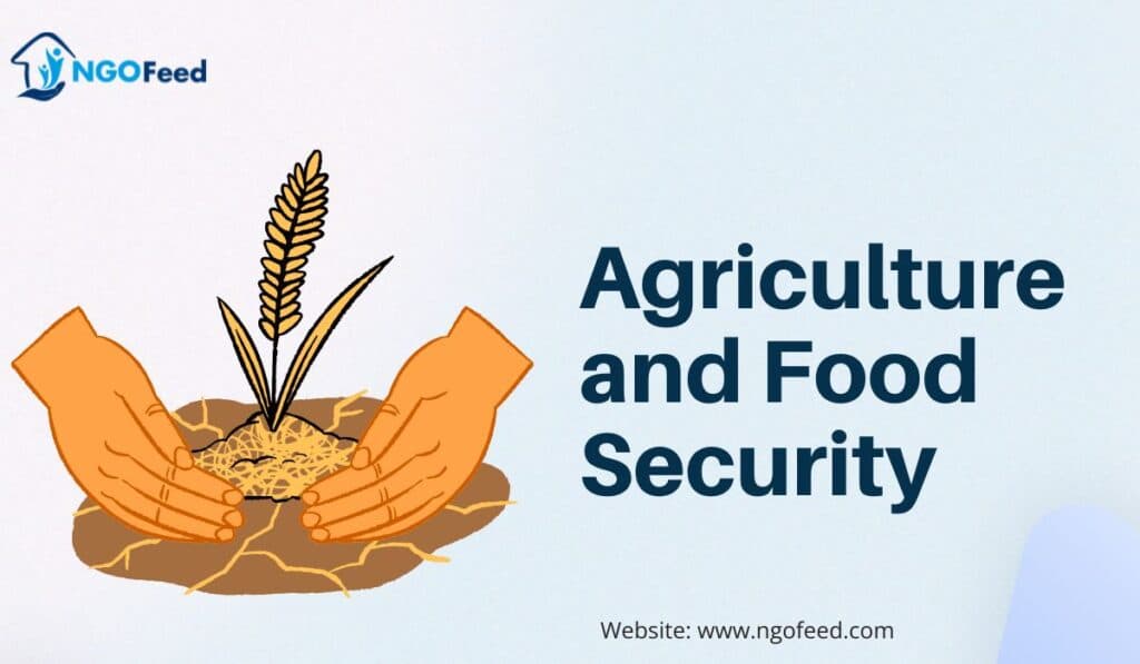 Agriculture and Food Security: Role, Importance, Challenges, Technology Involvements etc.