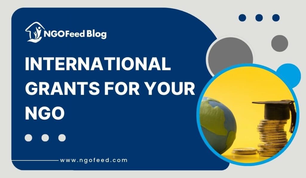 International Grants for NGOs: Type, Opportunities, Funding, Best Practices, etc.