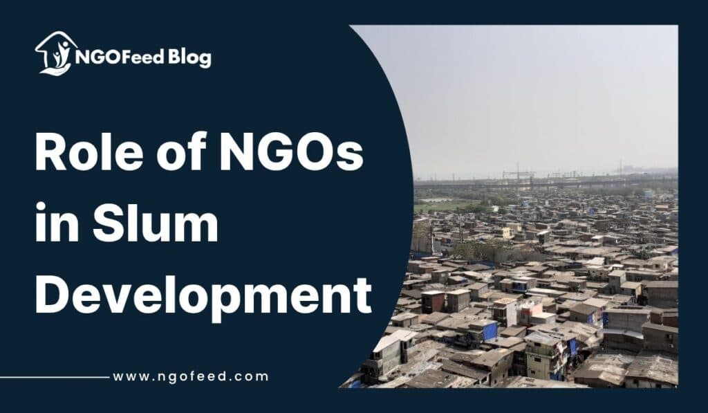 Role of NGOs in Slum Development: Work, Importance, Challenges, etc.