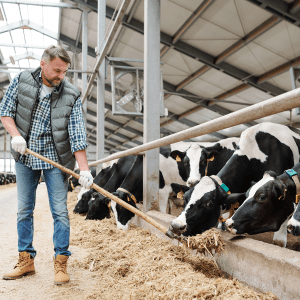 Dairying & Fisheries Image