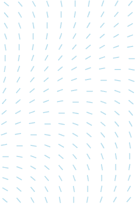 decorative pattern