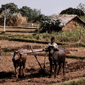 Rural Development & Poverty Alleviation Image