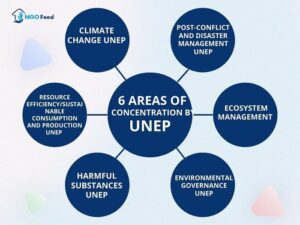 6 Areas of Concentration by UNEP