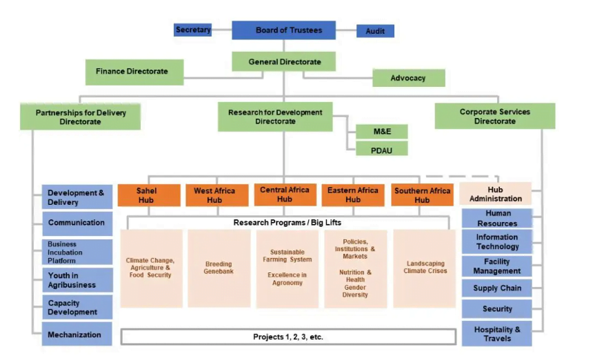 IITA Organogram