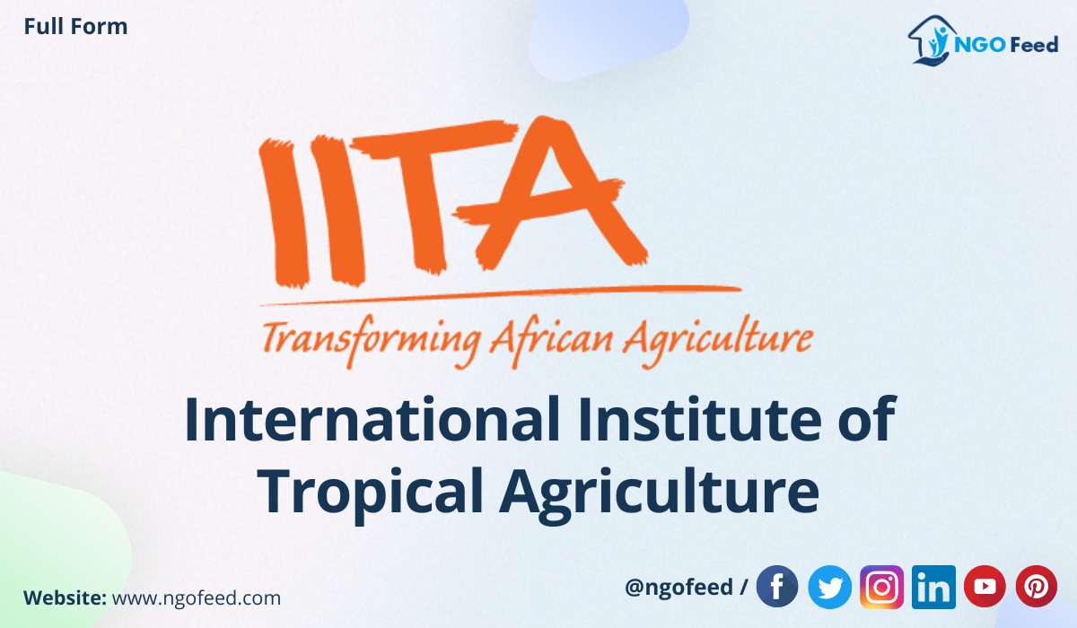 IITA Full form