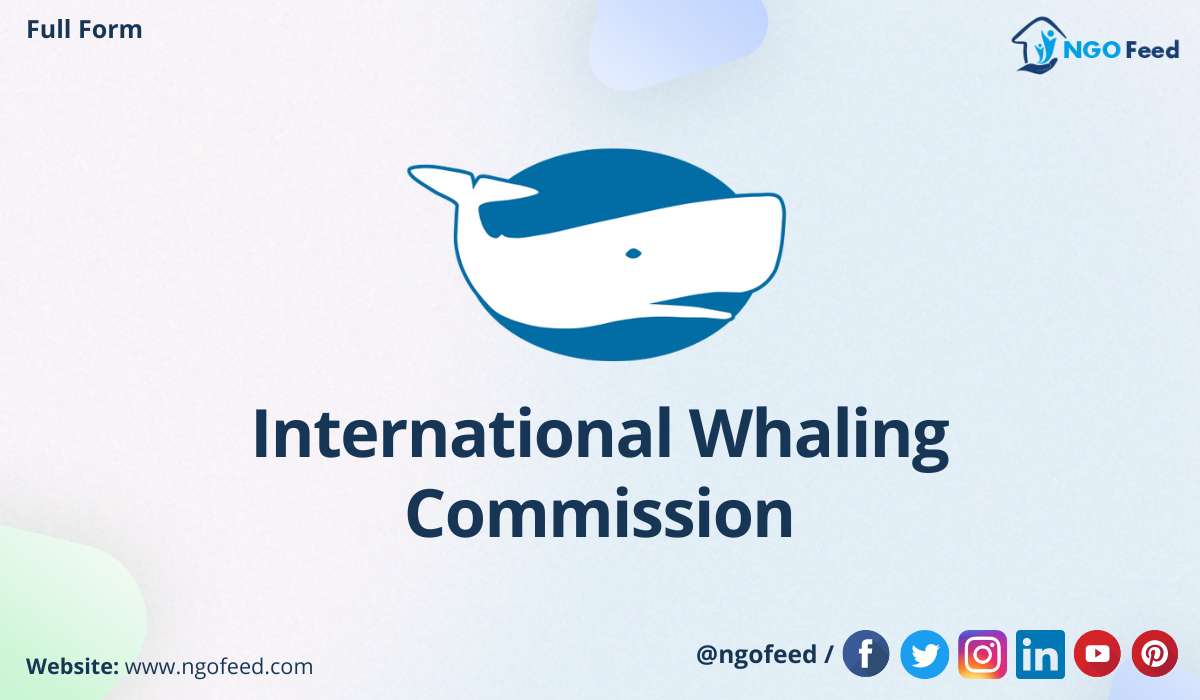 Whaling commission sale