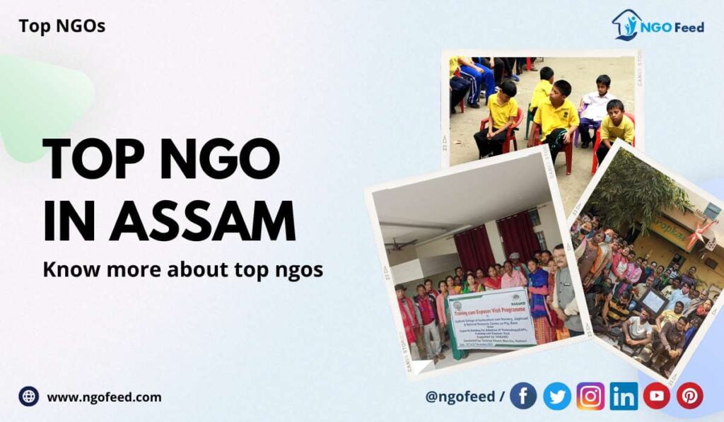 Top NGO in Assam