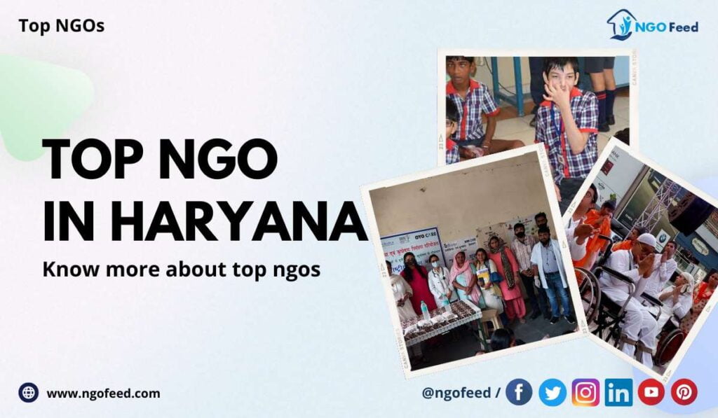 Top NGO in Haryana