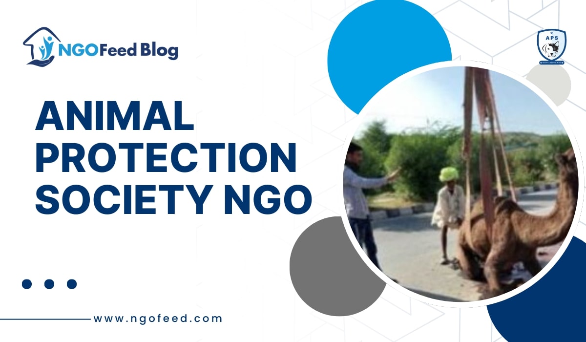 Animal Protection Society NGO Success Story