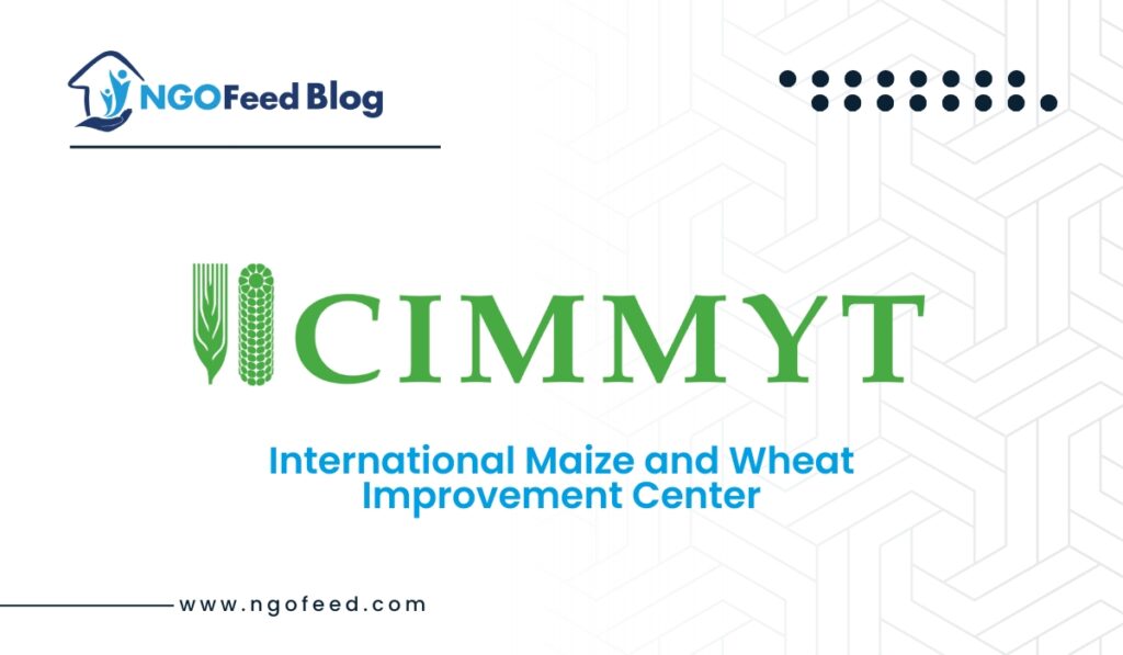 CIMMYT Full Form