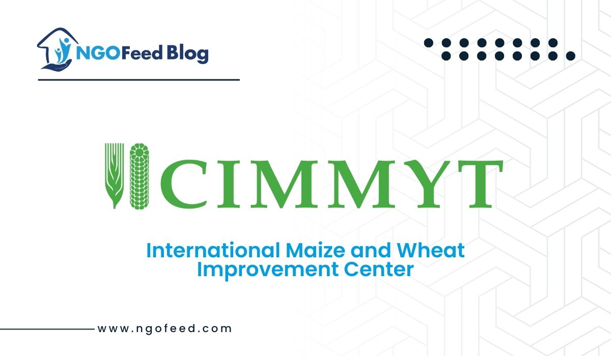 CIMMYT Full Form