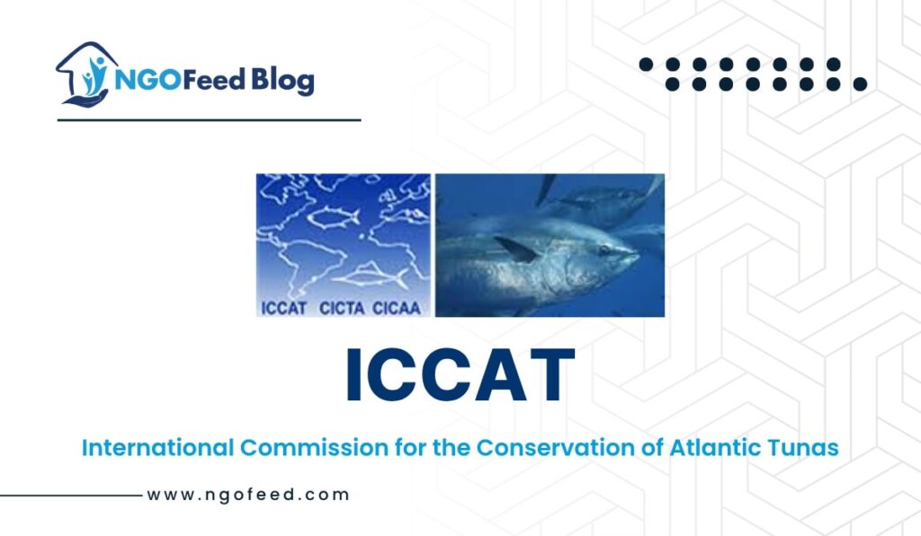 ICCAT Full Form