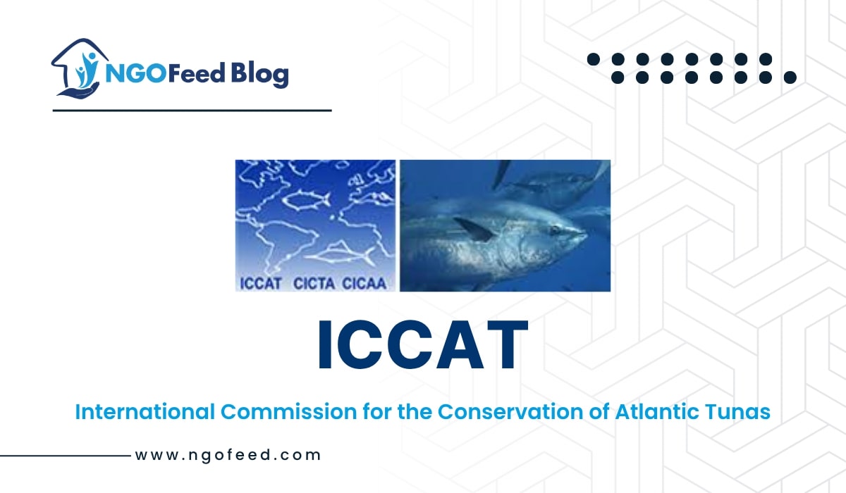 ICCAT Full Form