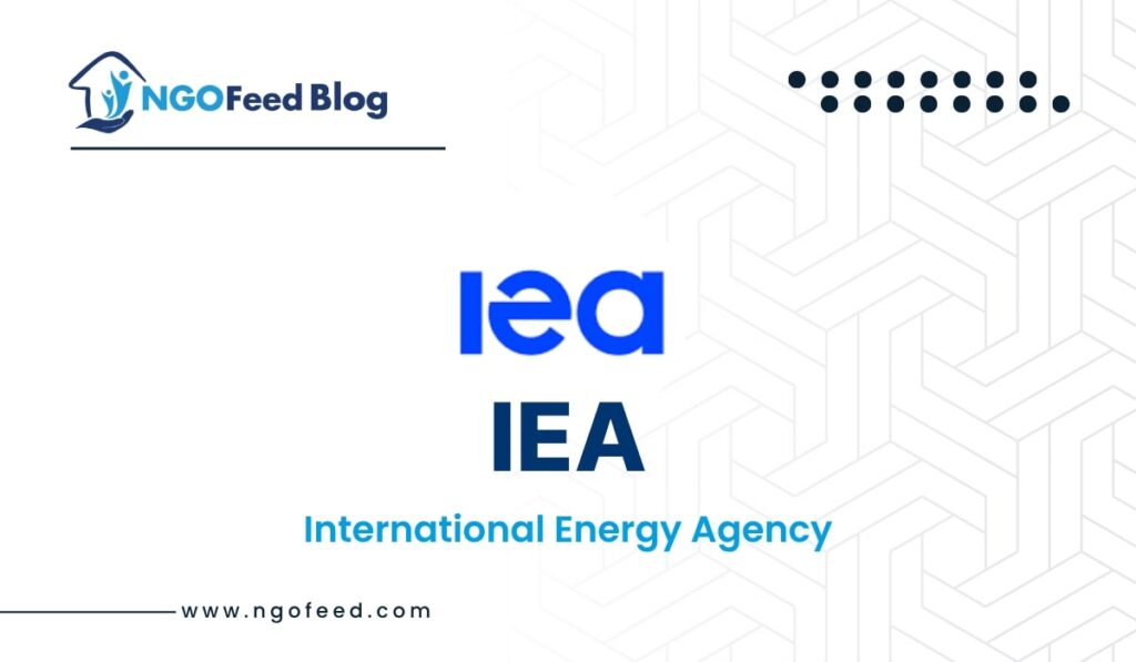 IEA Full Form