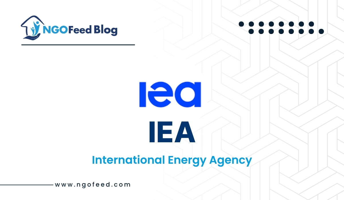 IEA Full Form