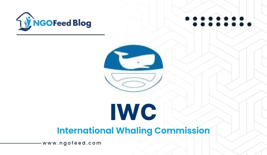 IWC Full Form