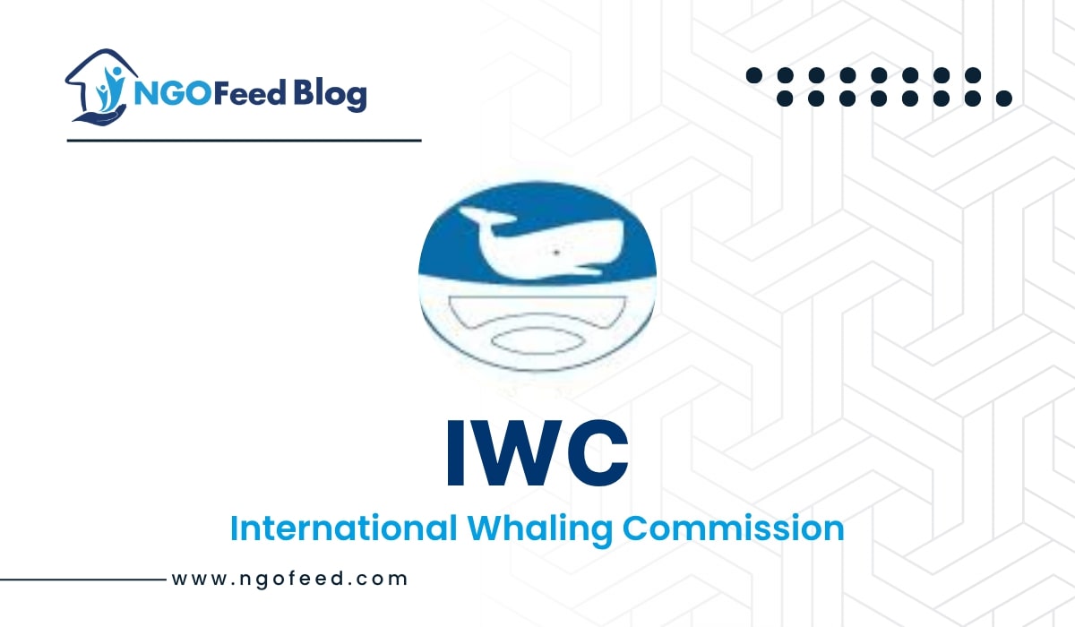 IWC Full Form