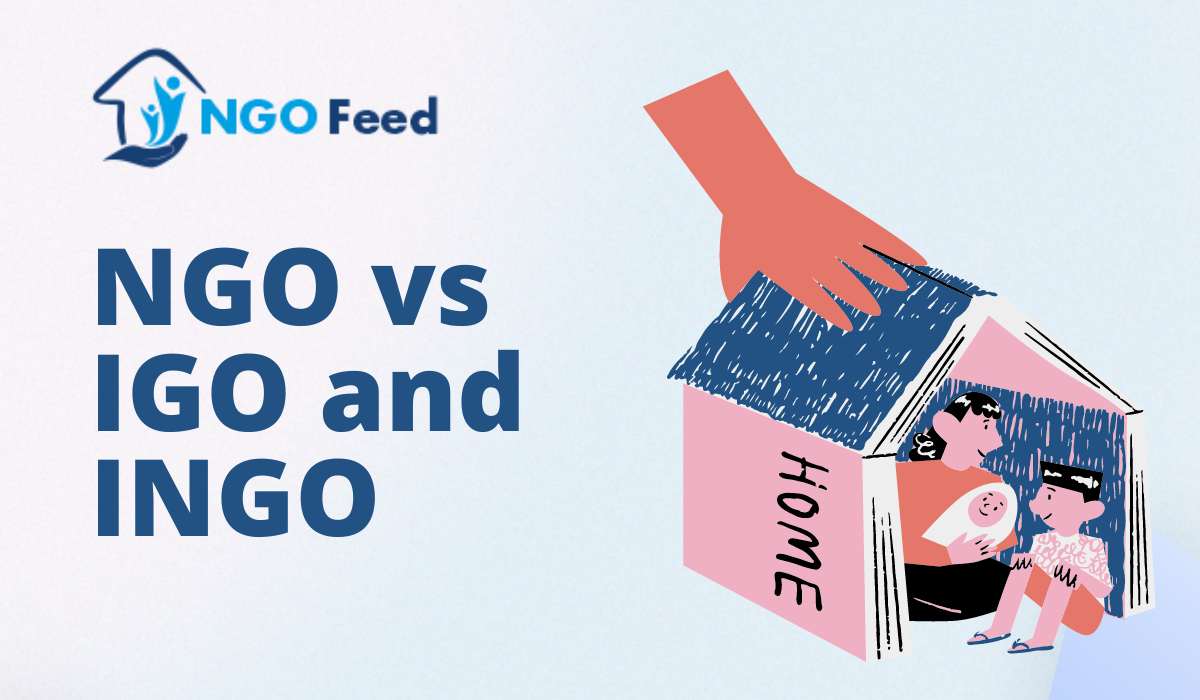 NGO vs IGO and INGO: How They Differ?