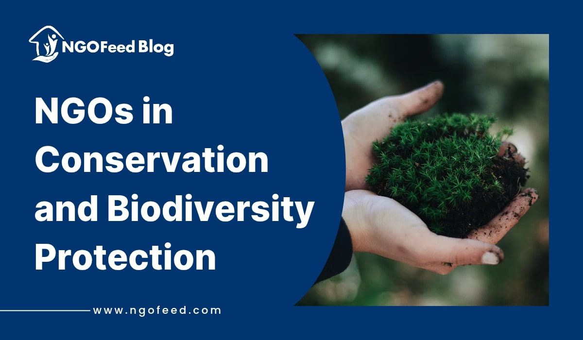 NGOs in Conservation and Biodiversity Protection