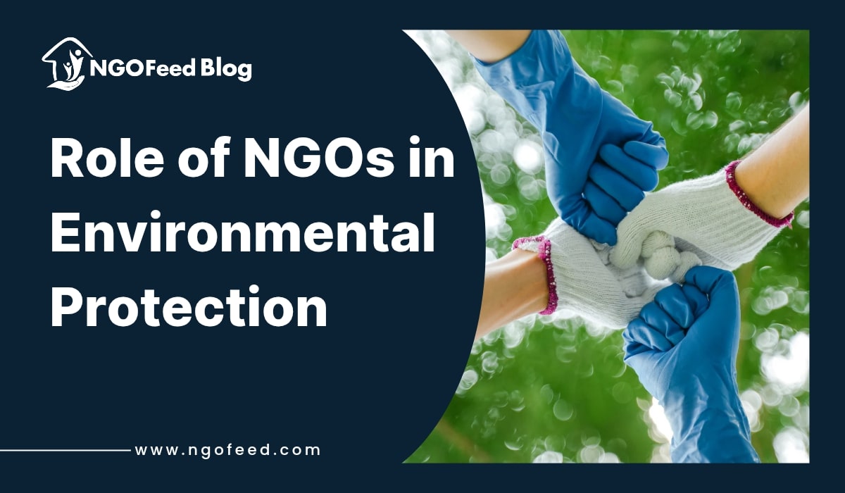 Role of NGOs in Environmental Protection; Know here Role of NGOs in Environmental Protection