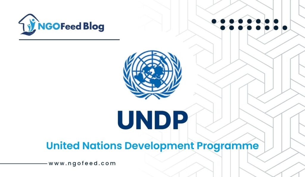 UNDP Full Form