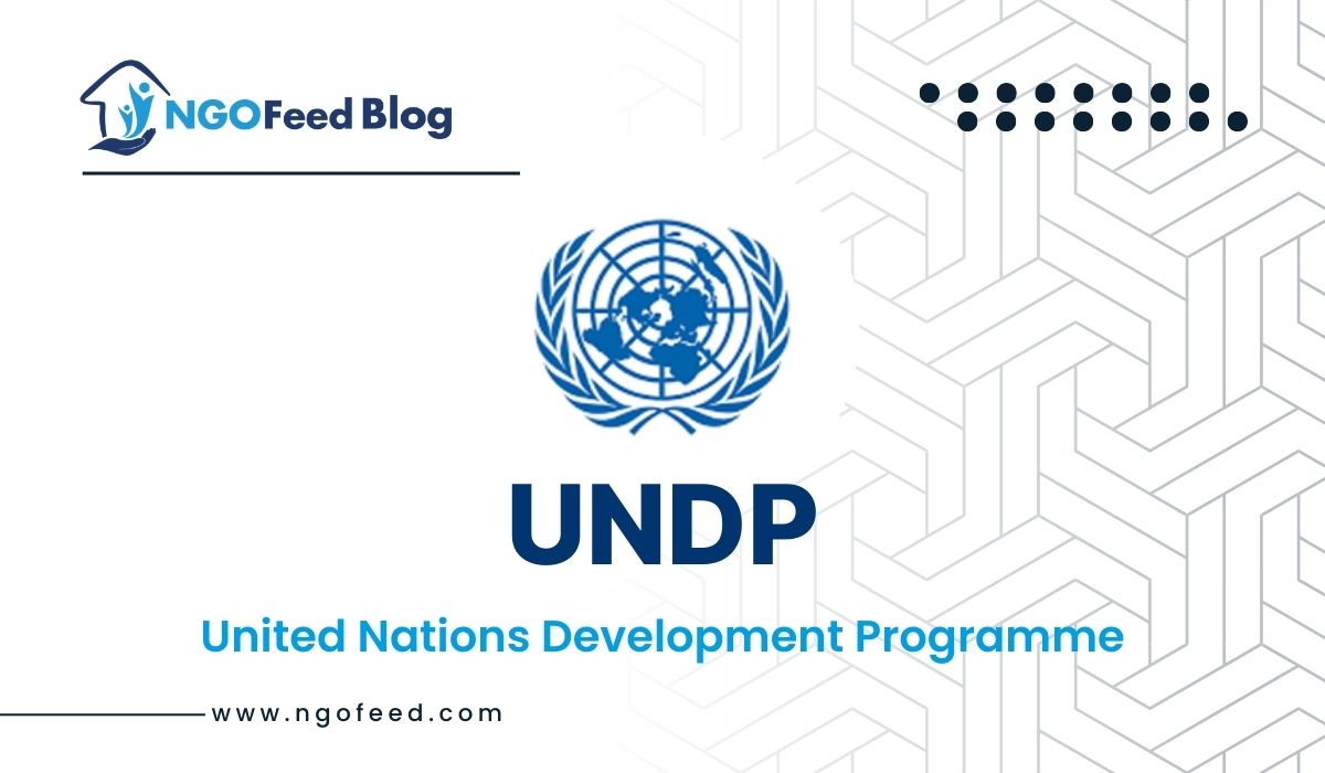 UNDP Full Form