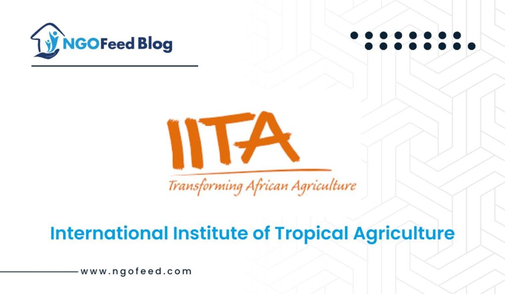 IITA Full form