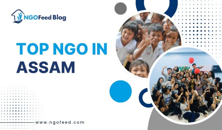 Top NGOs in Assam 2026: Leading the Way to a Better Society