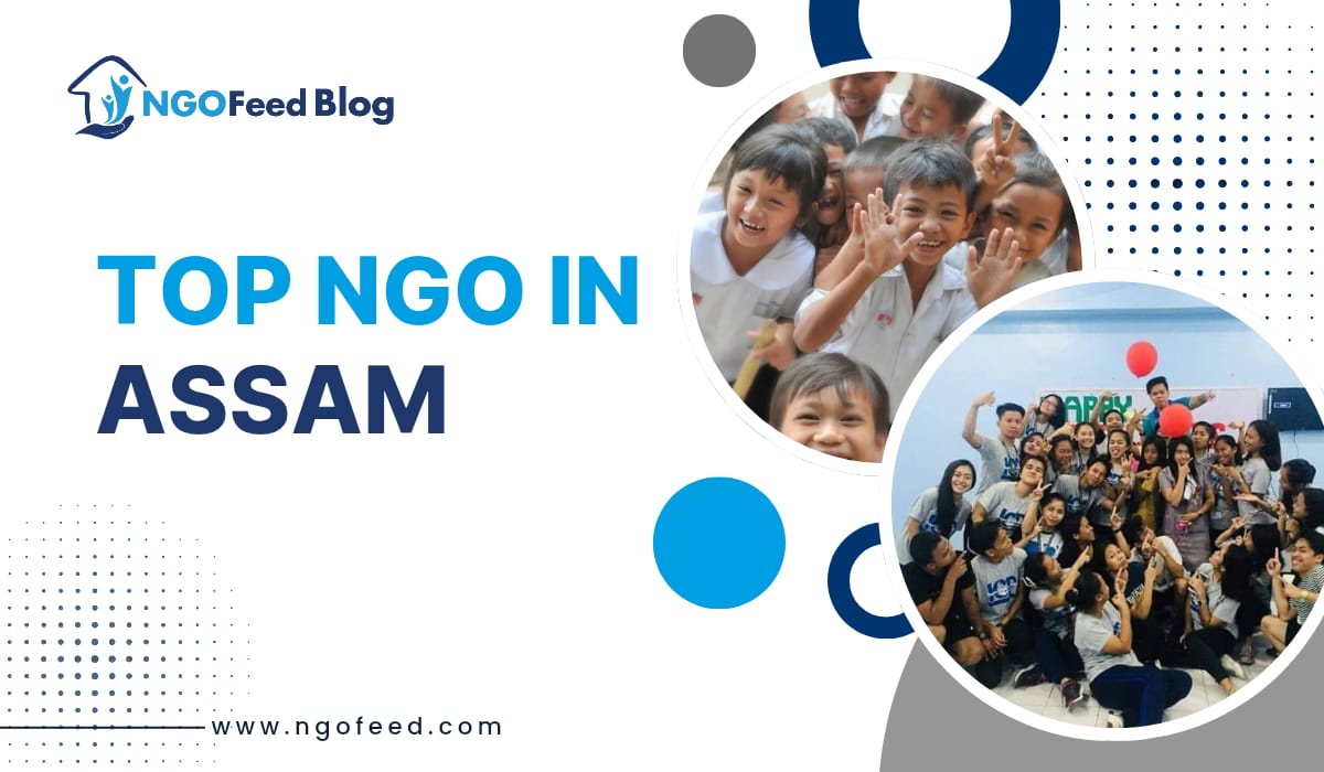 Top NGO in Assam