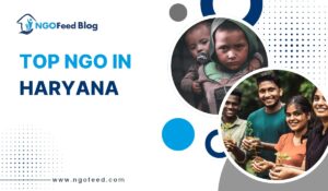 Top NGOs in Haryana 2026: Empowering Lives & Communities