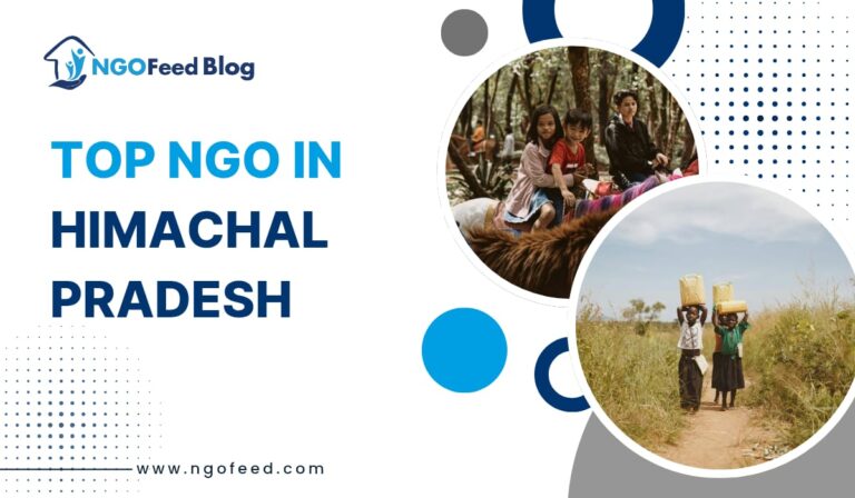 Top NGOs in Himachal Pradesh 2026: Fighting Poverty & Empowering Lives