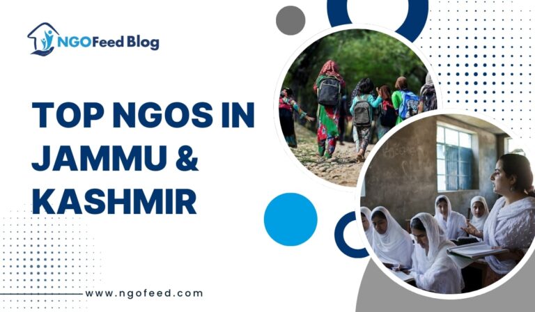 Top NGO in Jammu and Kashmir 2025: Meet the Heroes Helping Those in Need