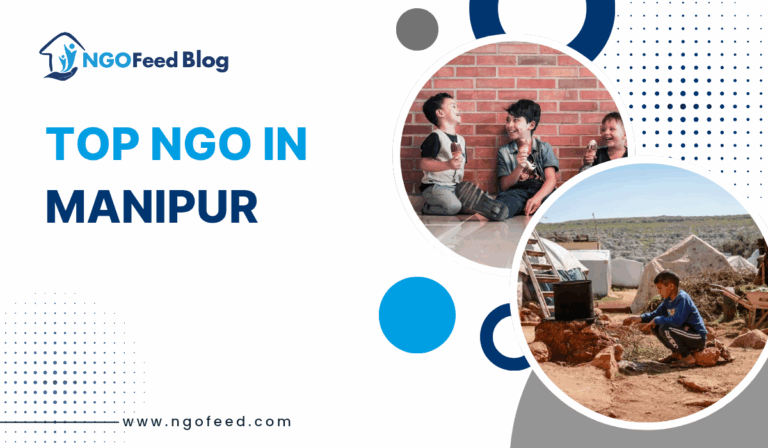 Top NGOs in Manipur 2025: Working Hard for Better Society Together