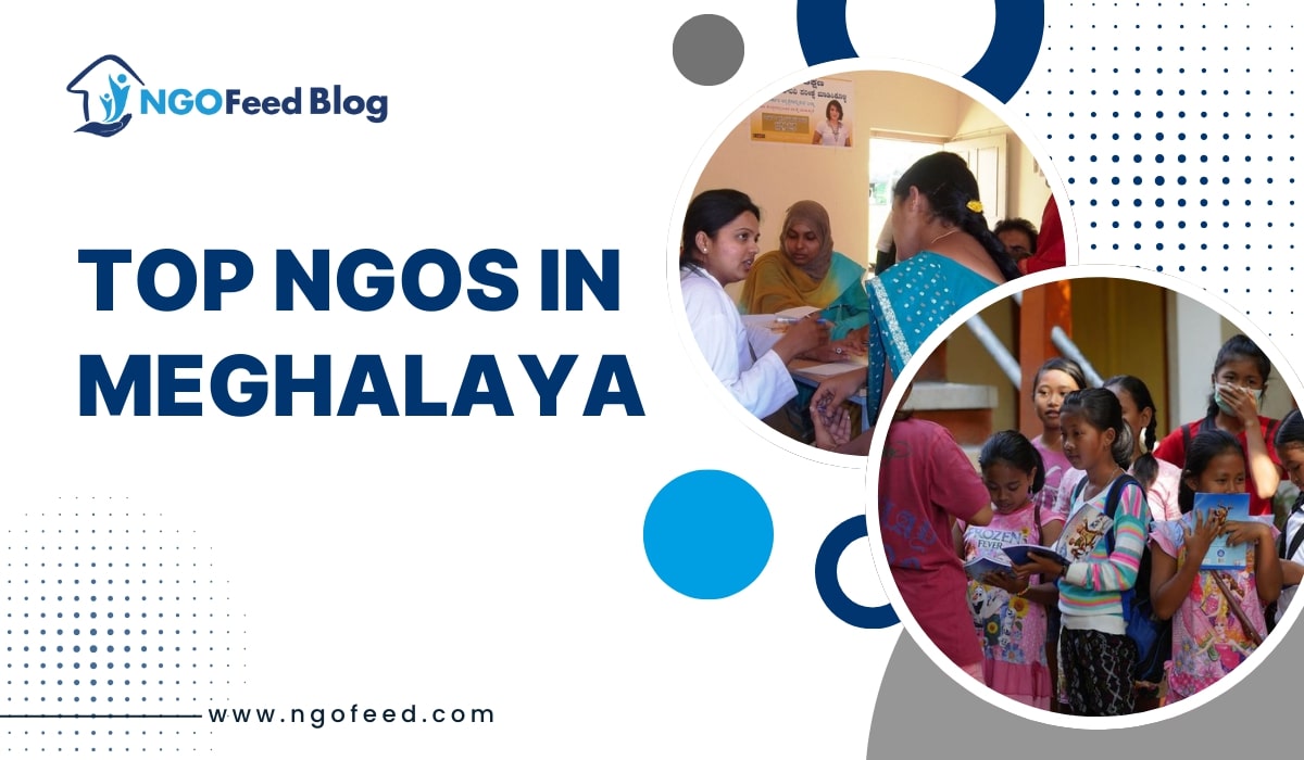 Top NGO in Meghalaya