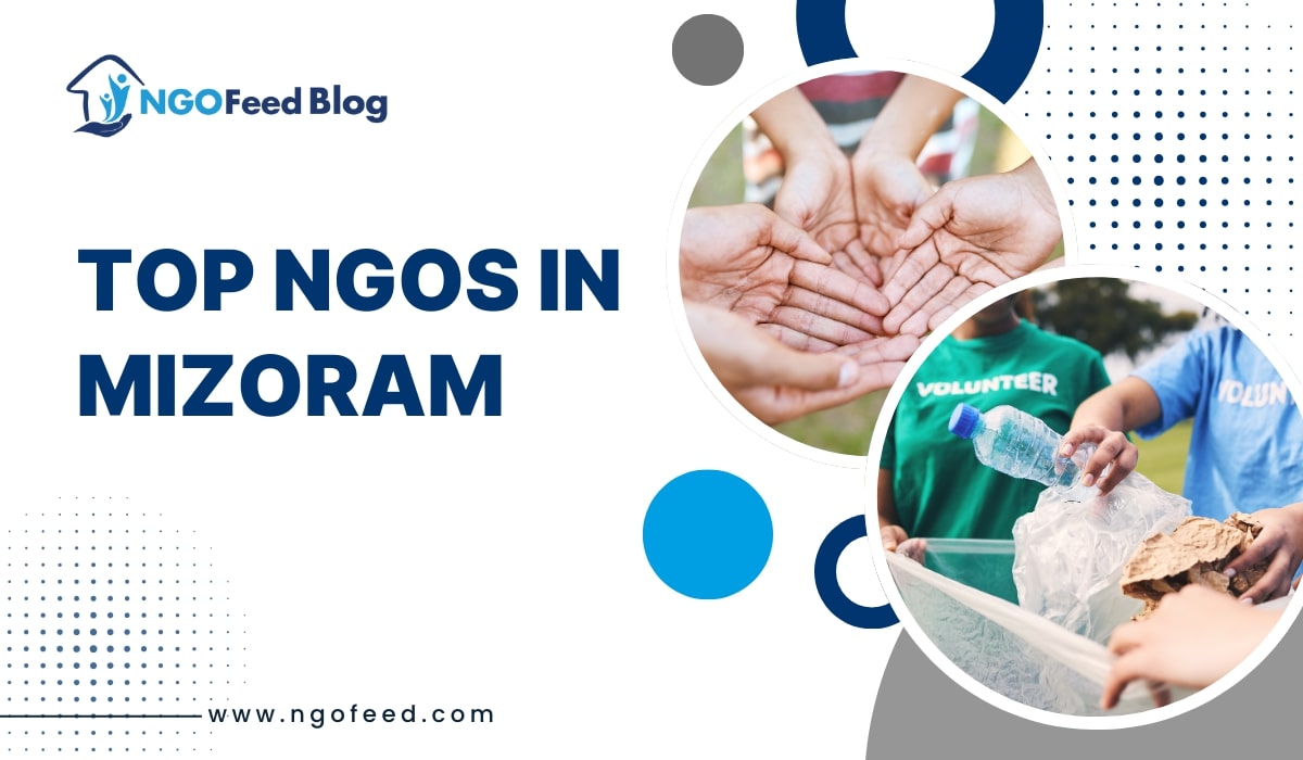 Top NGO in Mizoram