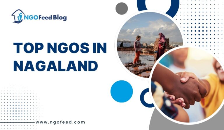 Top NGOs in Nagaland 2026: Empowering Communities, Social Impact and Youth