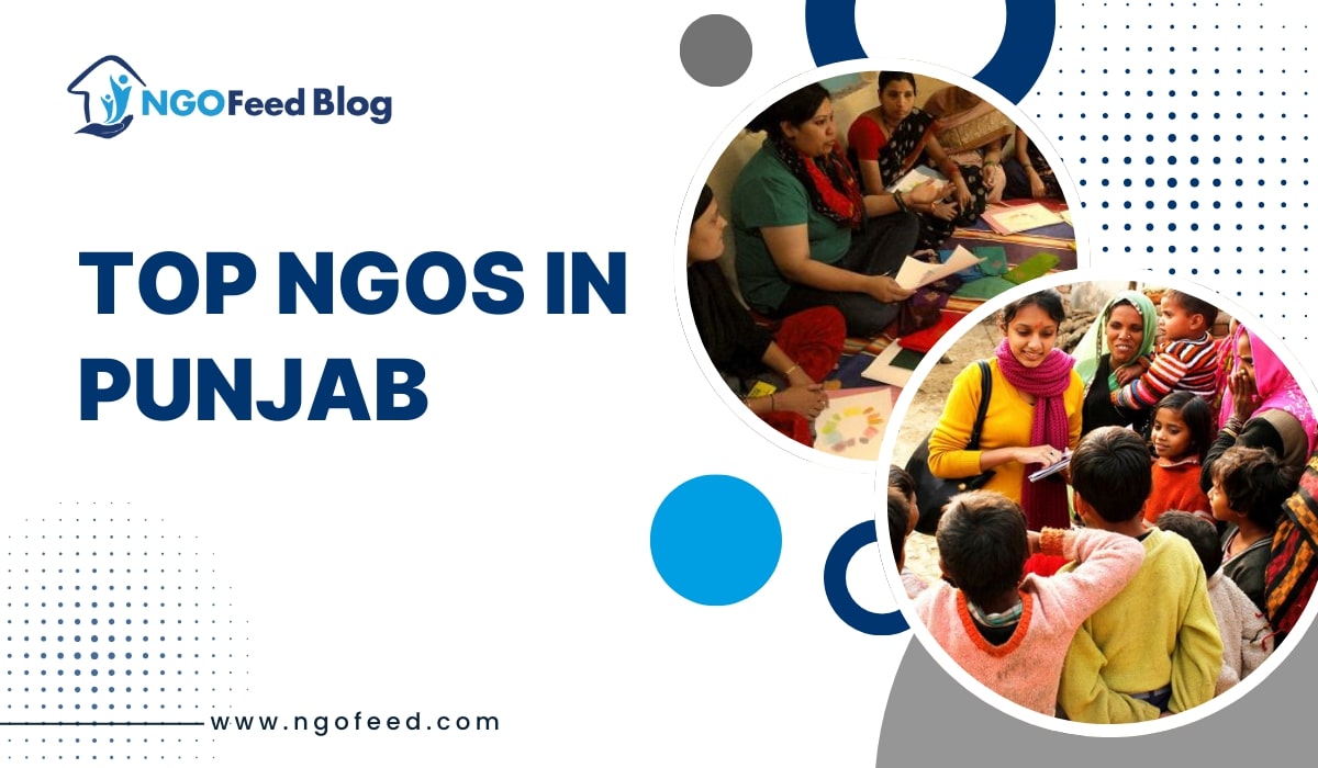 Top NGO in Punjab