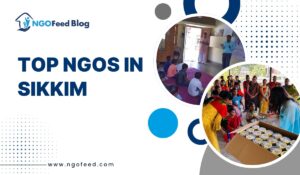 Top NGOs in Sikkim 2026: Champions of Progressive Social Change