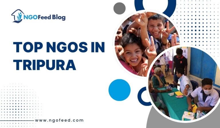 Top NGOs in Tripura 2026: Driving Positive Social Change