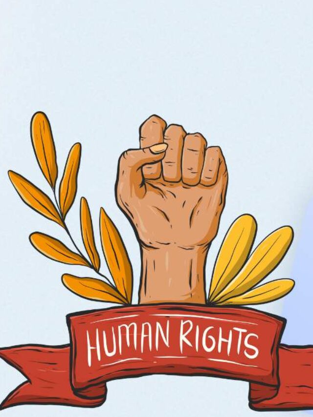 5 Major Areas of NGOs in India Involvement in Human Rights