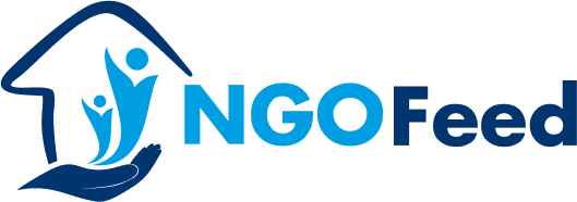 NGO vs IGO and INGO: How They Differ?