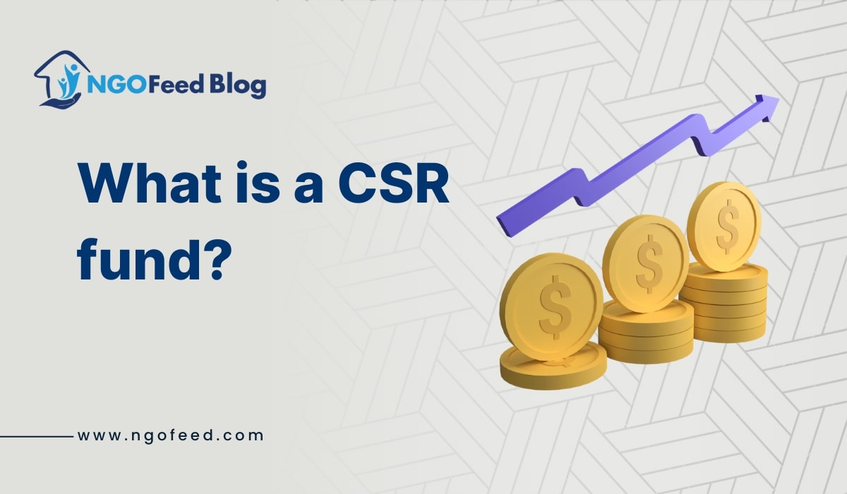 What is a CSR fund? Know types, benefits and CSR funding companies etc. What is a CSR fund