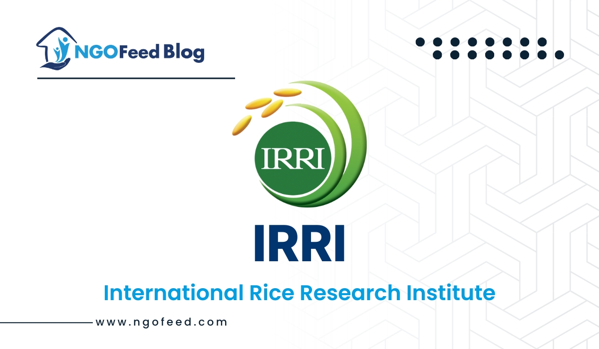 IRRI Full Form