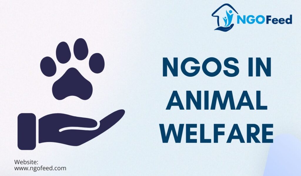 NGOs in Animal Welfare