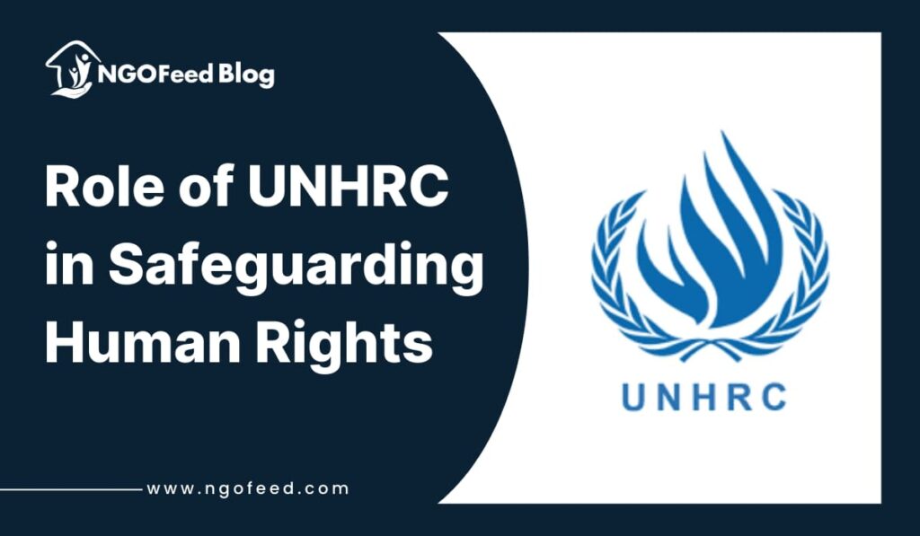 Role of UNHRC in Safeguarding Human Rights