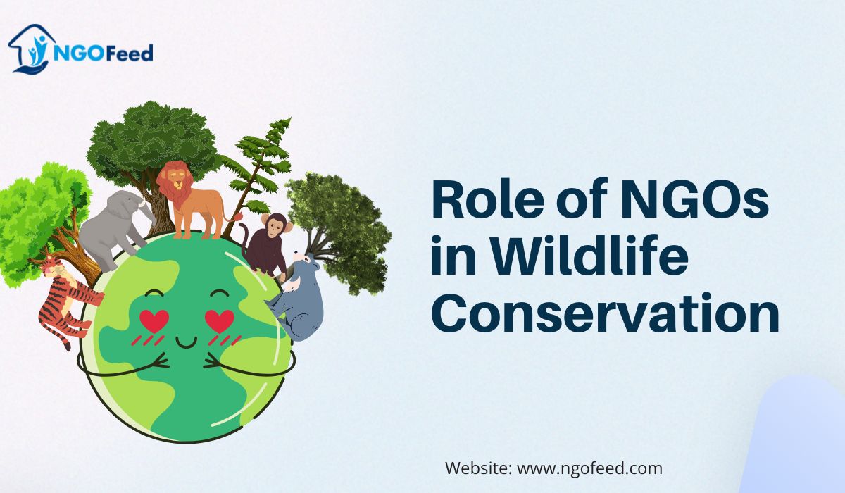 Role of NGOs in Wildlife Conservation