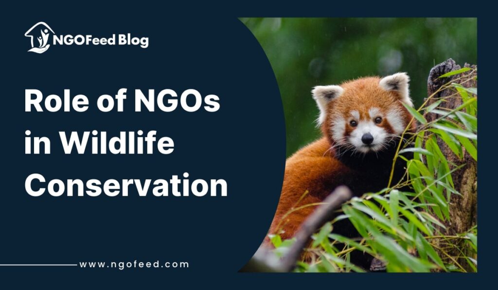 Role of NGOs in Wildlife Conservation Role of NGOs in Wildlife Conservation